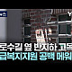 https://www.7xx.org/data/apms/video/youtube/thumb-ZOQfQxi06GM_80x80.jpg
